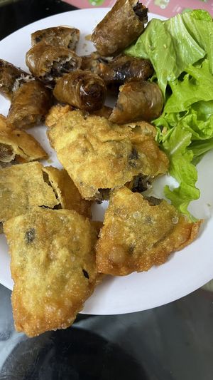 Spring rolls and crispy pillow dumplings  at Bao An Vegan (formerly Vegan Banhmi) in Hanoi