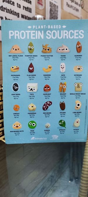  at Bao An Vegan (formerly Vegan Banhmi) in Hanoi