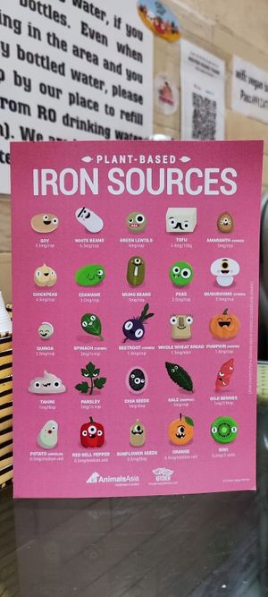  at Bao An Vegan (formerly Vegan Banhmi) in Hanoi