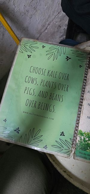  at Bao An Vegan (formerly Vegan Banhmi) in Hanoi