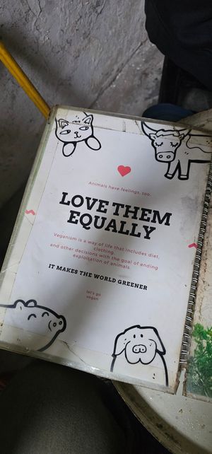  at Bao An Vegan (formerly Vegan Banhmi) in Hanoi