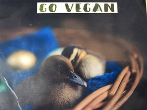 Menu  at Bao An Vegan (formerly Vegan Banhmi) in Hanoi