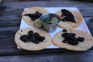 Fajita tacos at La Botanica in San Antonio