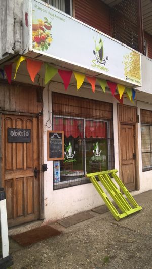 lentil burger at Sesamo Rincon Vegetariano in Valdivia