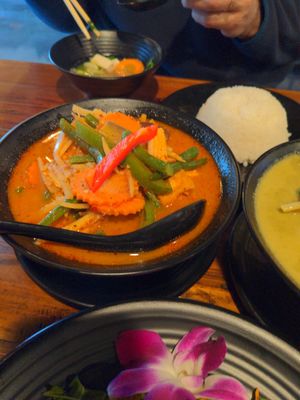 Jungle curry spicy good at Thai Cravings in Rocky River