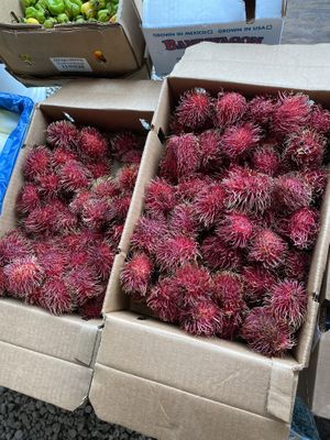 Pretty and yummy fruit at Coconut Grove Farmer's Market in Miami