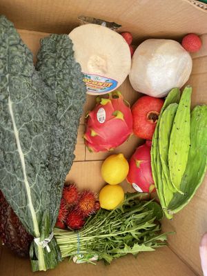   at Coconut Grove Farmer's Market in Miami