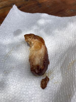 Elephant ear   at Coconut Grove Farmer's Market in Miami