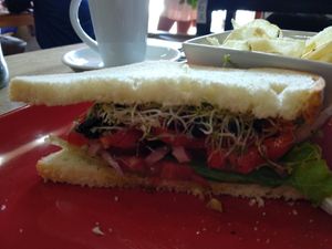 Sandwich vg lite without cheese at Fat Cat Coffee House in Antigua