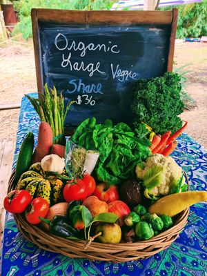 Sample of our Weekly Large Veggie Share available for Friday Saturday pickup Visit our Website to sign up for Newsletter at Natural Living Food Co-op and Cafe in League City