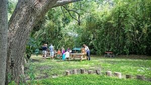 Large outdoor seating area at Natural Living Food Co-op and Cafe in League City