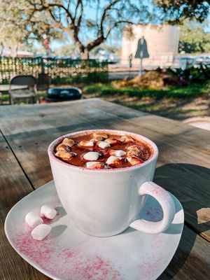  at Natural Living Food Co-op and Cafe in League City