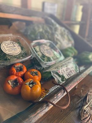  at Natural Living Food Co-op and Cafe in League City