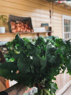  at Natural Living Food Co-op and Cafe in League City