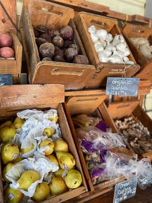  at Natural Living Food Co-op and Cafe in League City