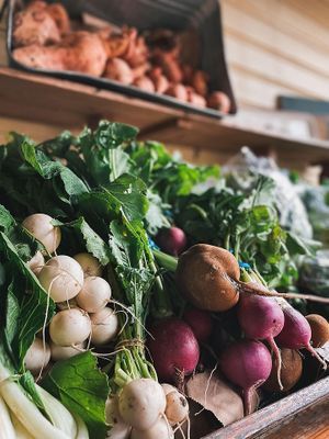  at Natural Living Food Co-op and Cafe in League City