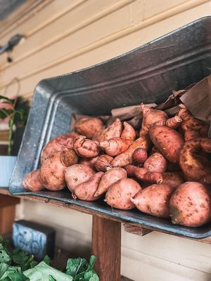  at Natural Living Food Co-op and Cafe in League City