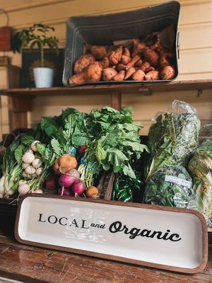  at Natural Living Food Co-op and Cafe in League City