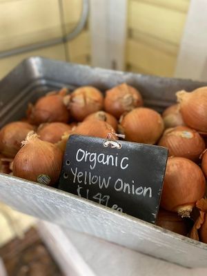  at Natural Living Food Co-op and Cafe in League City