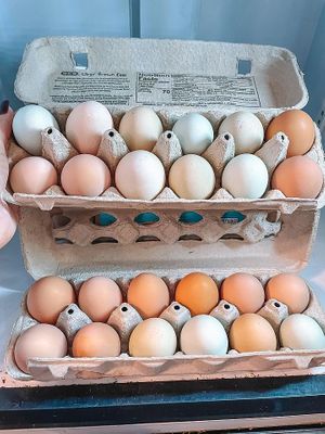  at Natural Living Food Co-op and Cafe in League City