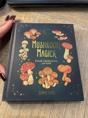 Book from the Book Nook  at Natural Living Food Co-op and Cafe in League City