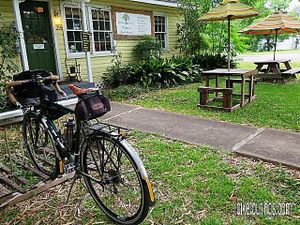 At Natural Living Food Co-op and cafe where they've added additional outdoor seating area with another umbrella covered picnic table made from recycled pallet wood, so ficken cool. at Natural Living Food Co-op and Cafe in League City