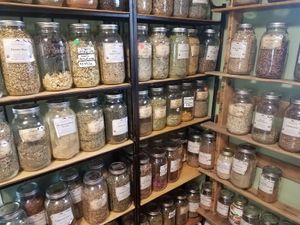 A glimpse of the dry herb selection at Natural Living Food Co-op and Cafe in League City