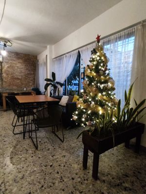 Christmas tree already up! at La Ruta Vegana in Mazatlan
