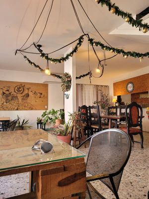 Beautiful inside! at La Ruta Vegana in Mazatlan