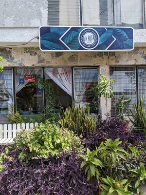  at La Ruta Vegana in Mazatlan