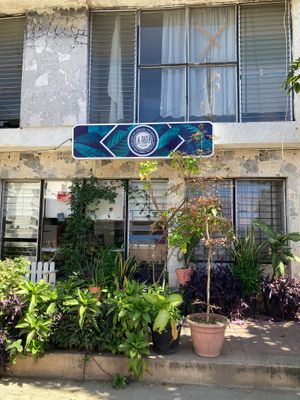  at La Ruta Vegana in Mazatlan