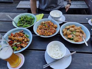 Water spinach, mapo tofu szechuan, black pepper tofu and mock chicken with peanut sauce at Sampan in Frankfurt