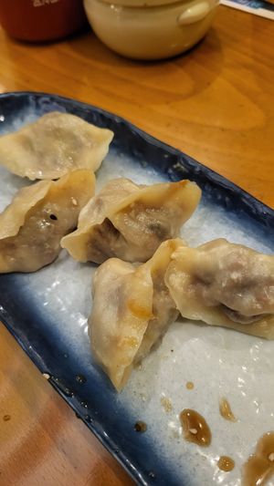 Dumplings at Sampan in Frankfurt