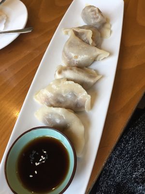 Boiled gyoza (4,80€) at Sampan in Frankfurt