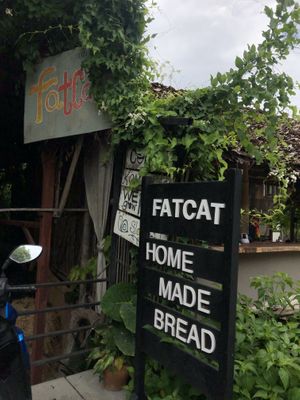   at FatCat in Pai