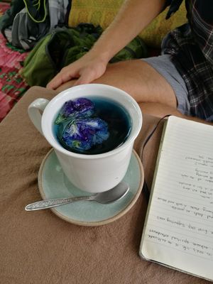 Sweet pea tea at FatCat in Pai