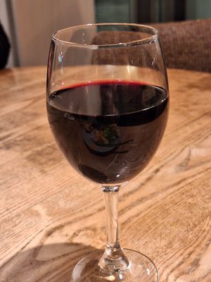 Vegan red wine at daTerra - Baixa in Porto