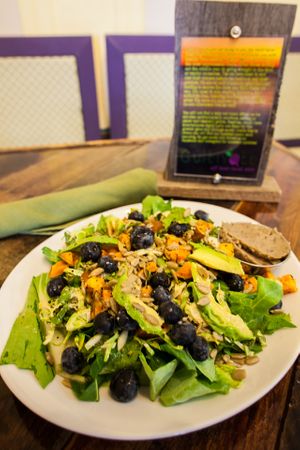 Notorious S.F.G. (Super Food Group) Salad-Greenmans Garden greens, avocado, seasonal fruit, kale and brussel sprout slaw, roasted sweet potatos, and a white bean spread. Served with grapefruit vinaigrette  at Cultivate Cafe in Destin