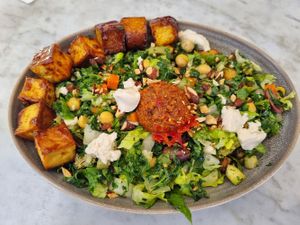 I am Fantastic at Cafe Gratitude in San Diego