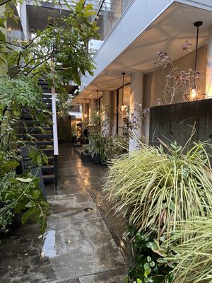   at Brown Rice ブラウンライス in Tokyo