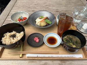 Seasonal Set Menu  at Brown Rice ブラウンライス in Tokyo