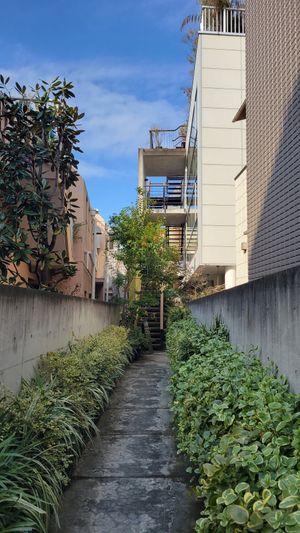 Entryway #Veganuary at Brown Rice ブラウンライス in Tokyo