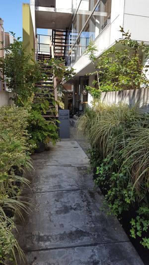path leading to cafe at Brown Rice ブラウンライス in Tokyo
