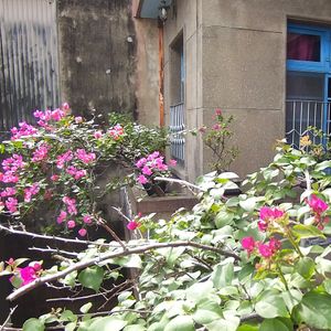  at Chì Kàn Xǐ Lóu 赤崁璽樓 in Tainan