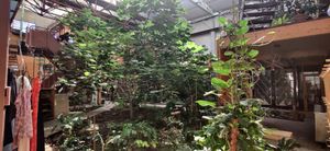 Co-working space at Väcka in Barcelona