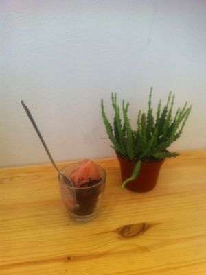 Dessert - sorbet at Väcka in Barcelona