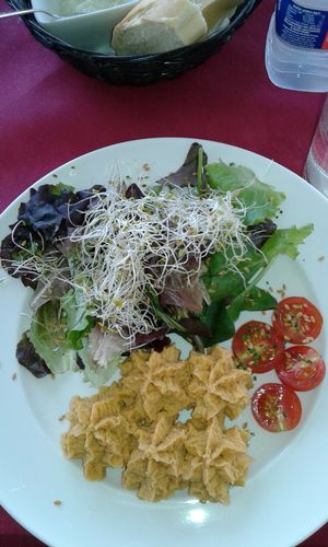 Homemade delicious Hummus with salat and sprouts at Svarog in Guardamar Del Segura