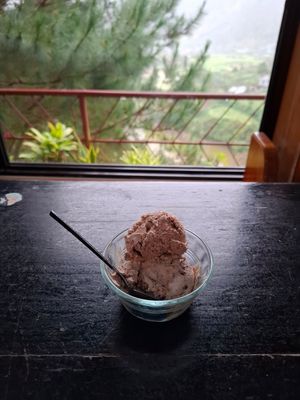 Chocoffee ice cream plant-based at Gaia in Sagada