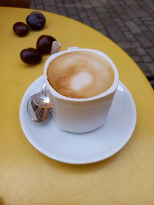 Cappucino mit Hafermilch at Cafe Leander in Bamberg