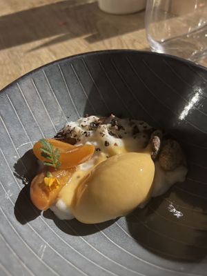 Sticky rice and apricot ice cream   at TIAN Bistro am Spittelberg in Vienna